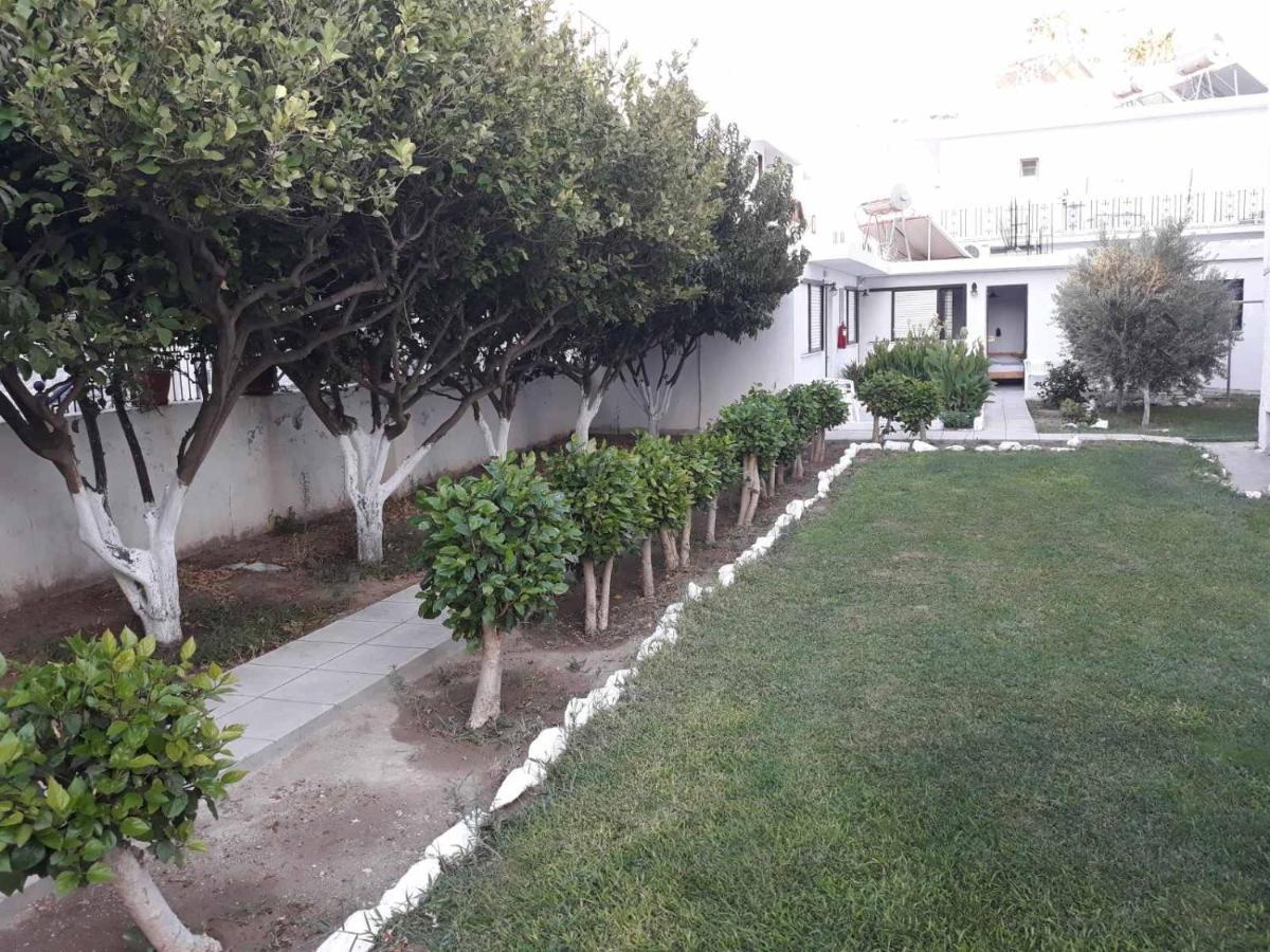 Kardamena  Andavis Hotel (Adults Only) מראה חיצוני תמונה